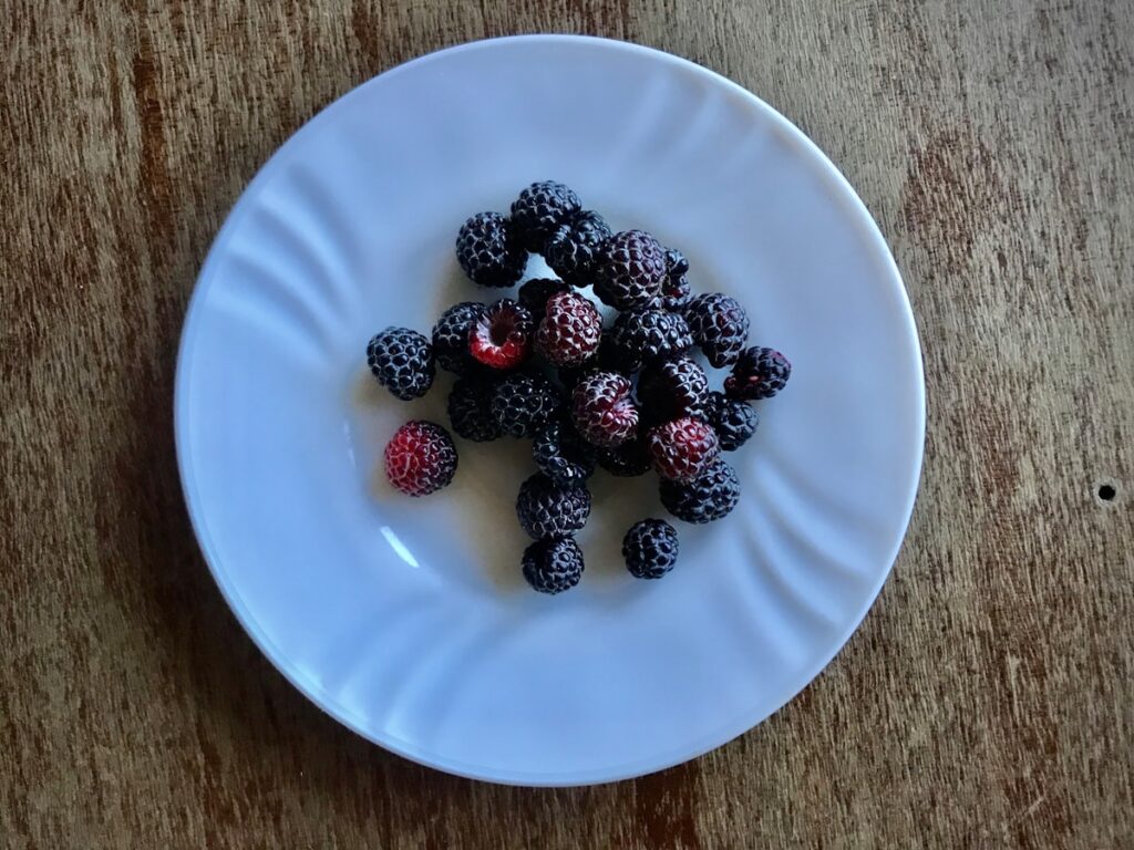 Colourful smoothie bowl topped with fresh berries and seeds, a plant based protein meal