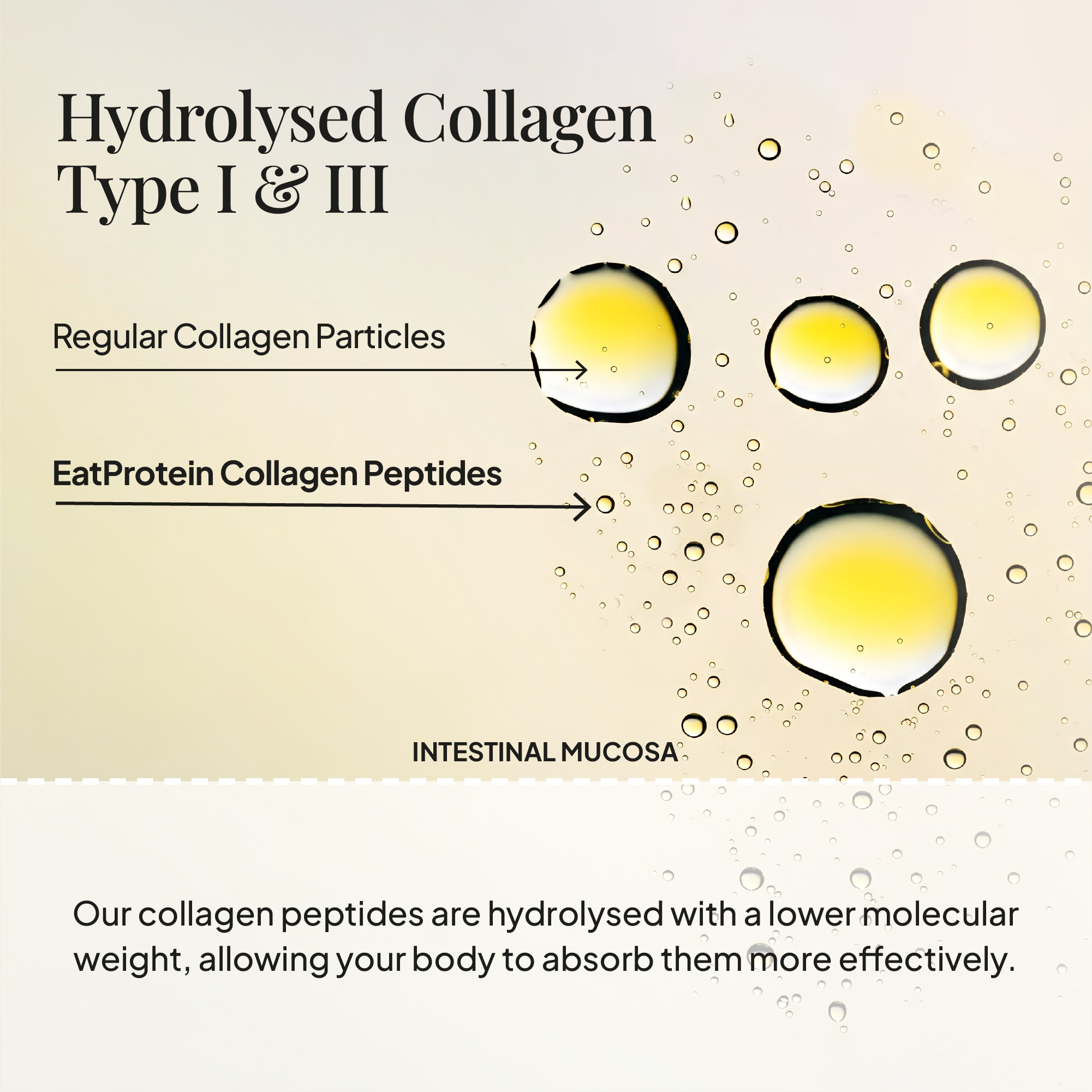 Rejuvenating Collagen Tropical Juice + Vitality - Image 8